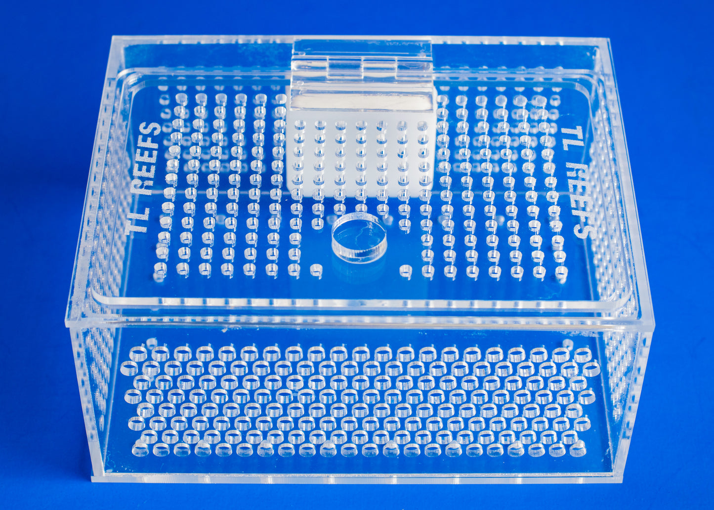 TL Reefs Mushroom Box