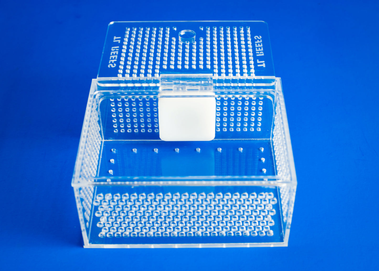 TL Reefs Mushroom Box