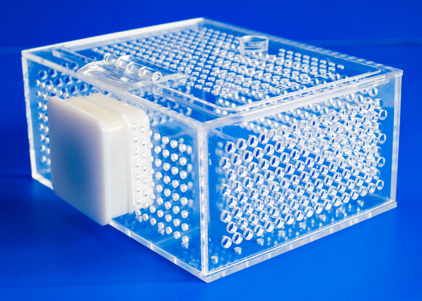TL Reefs Mushroom Box