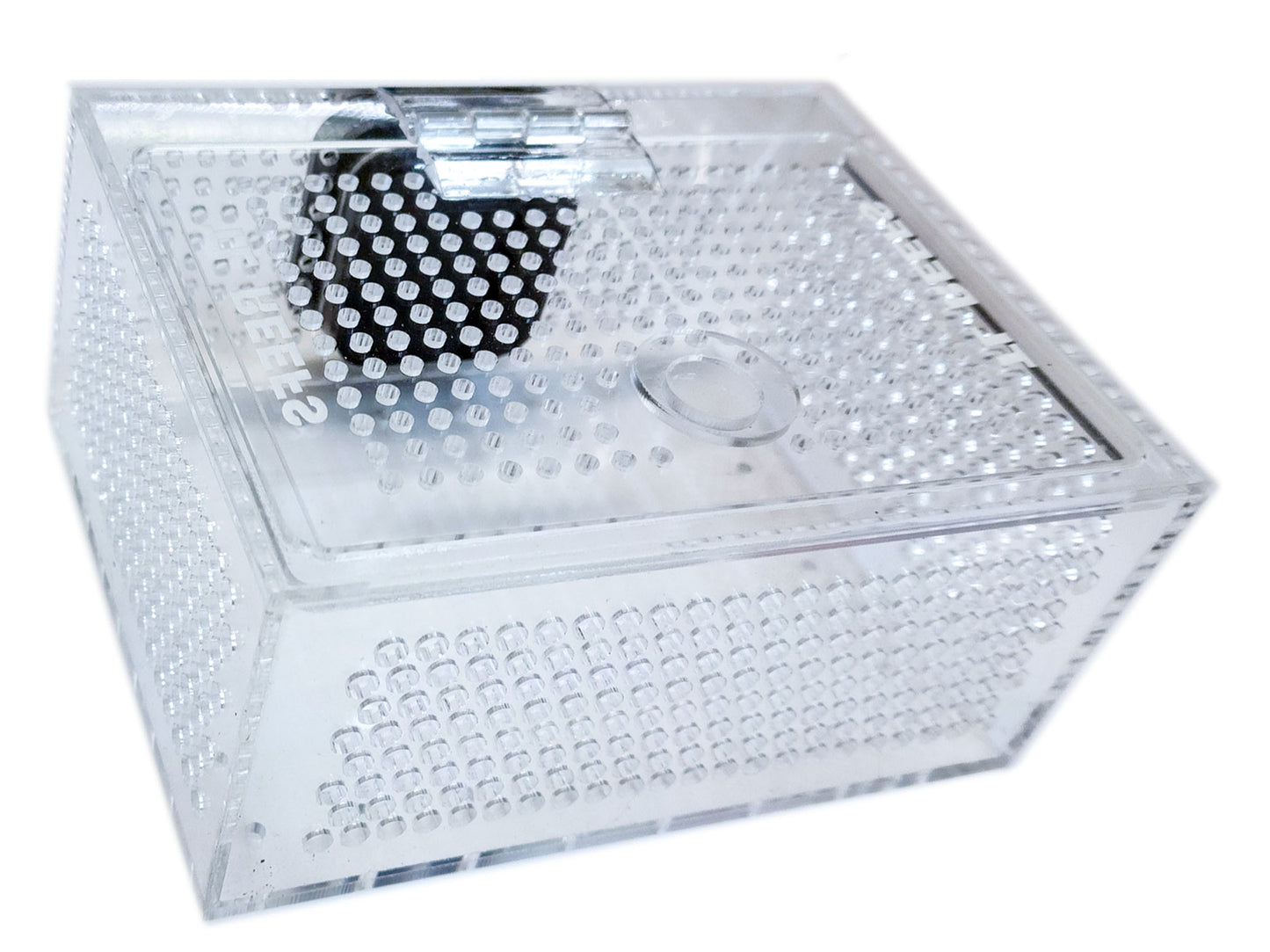 TL Reefs Mushroom Box