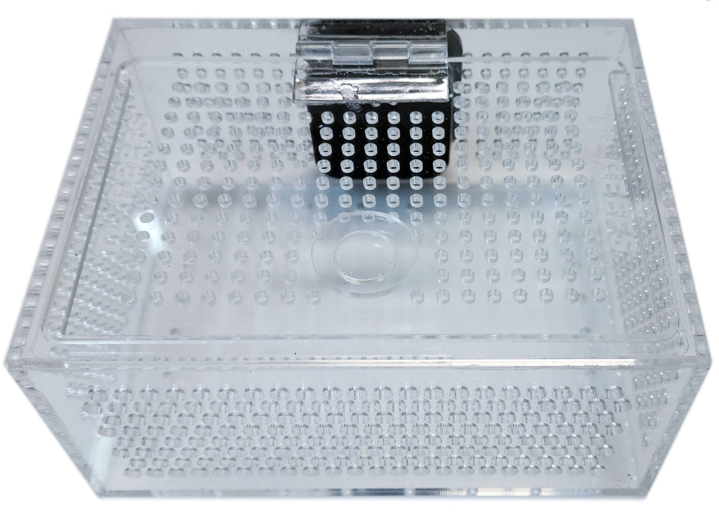 TL Reefs Mushroom Box