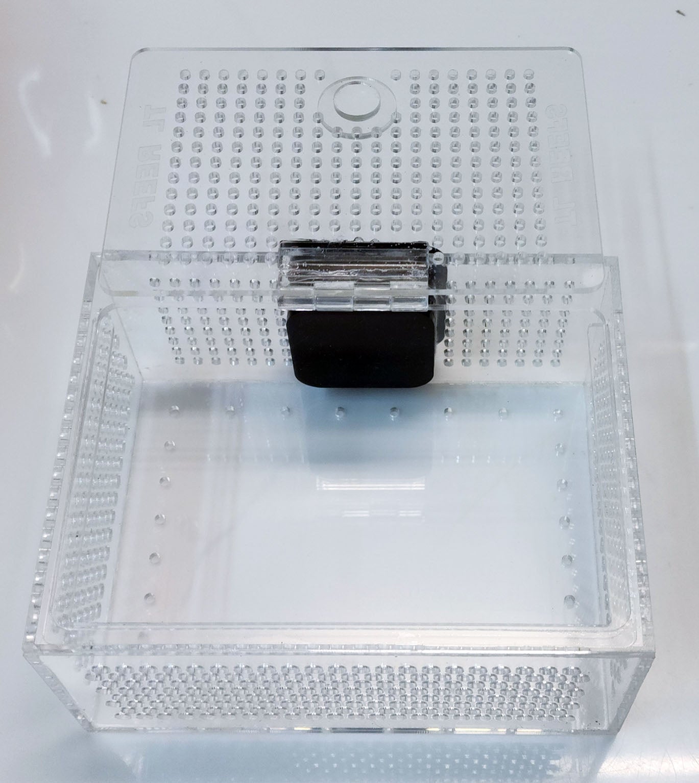 TL Reefs Mushroom Box