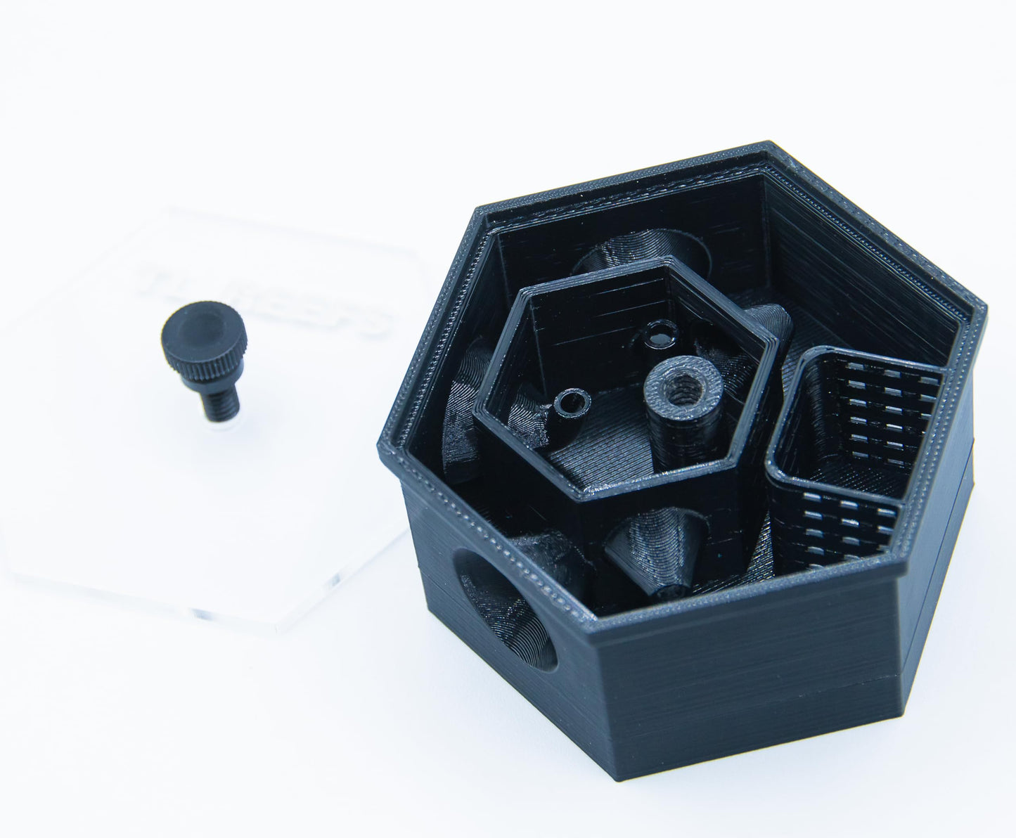 Bristle Worm Trap
